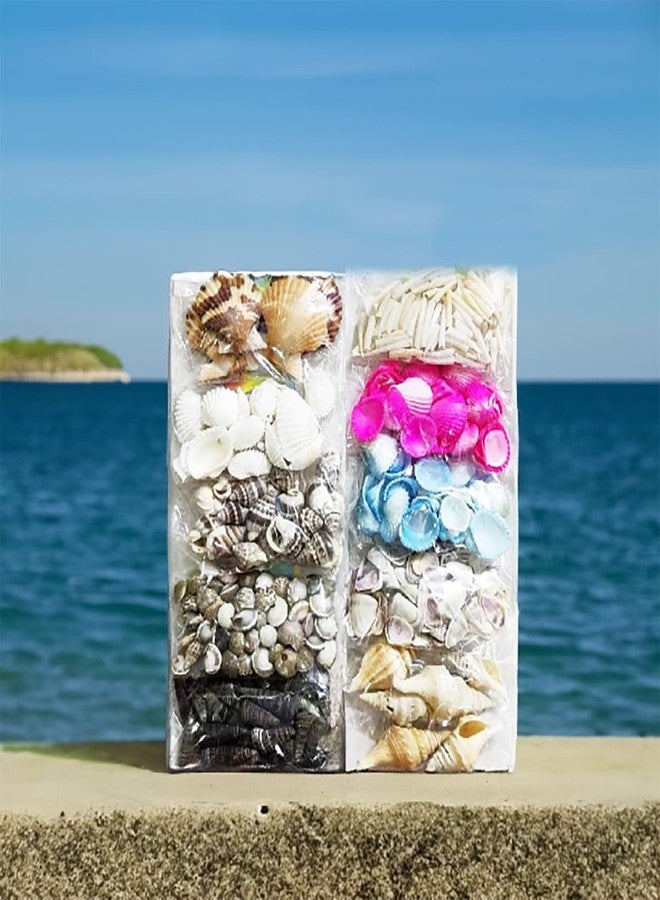 ARTBOX 10 Packets DIY Art and Craft Hobby Koudi Decoration Items for Kids and Adults School, Home, Birthday Gifts and Return Gift Ideas ( 10 Assorted Packets ) Koudi Shells Beeds, Multicolor - Image 1